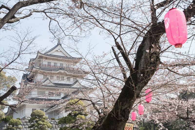 千葉県の平均年収や生涯賃金 年齢別年収推移 職業別年収 年収ガイド